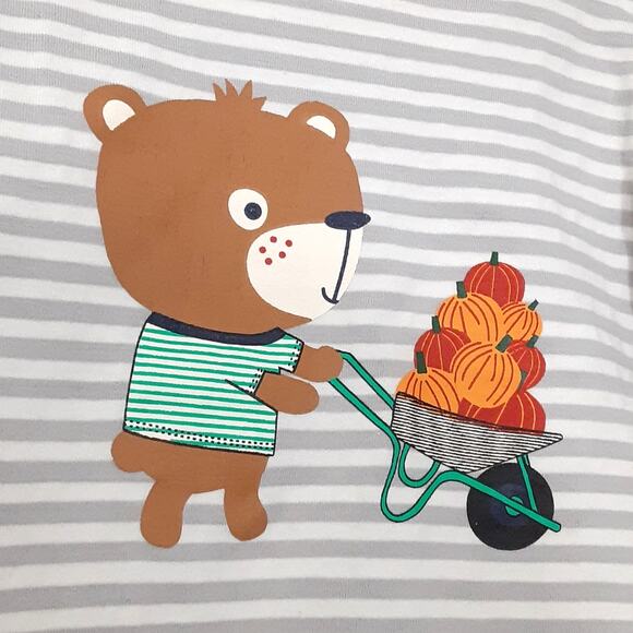 Lilly + Sid Pumpkin Patch Teddy Bear Long Sleeve Shirt Gray Stripe Baby 18-24mo - Picture 2 of 6
